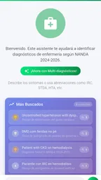 NANDA 2024 Diagnósticos IA 3